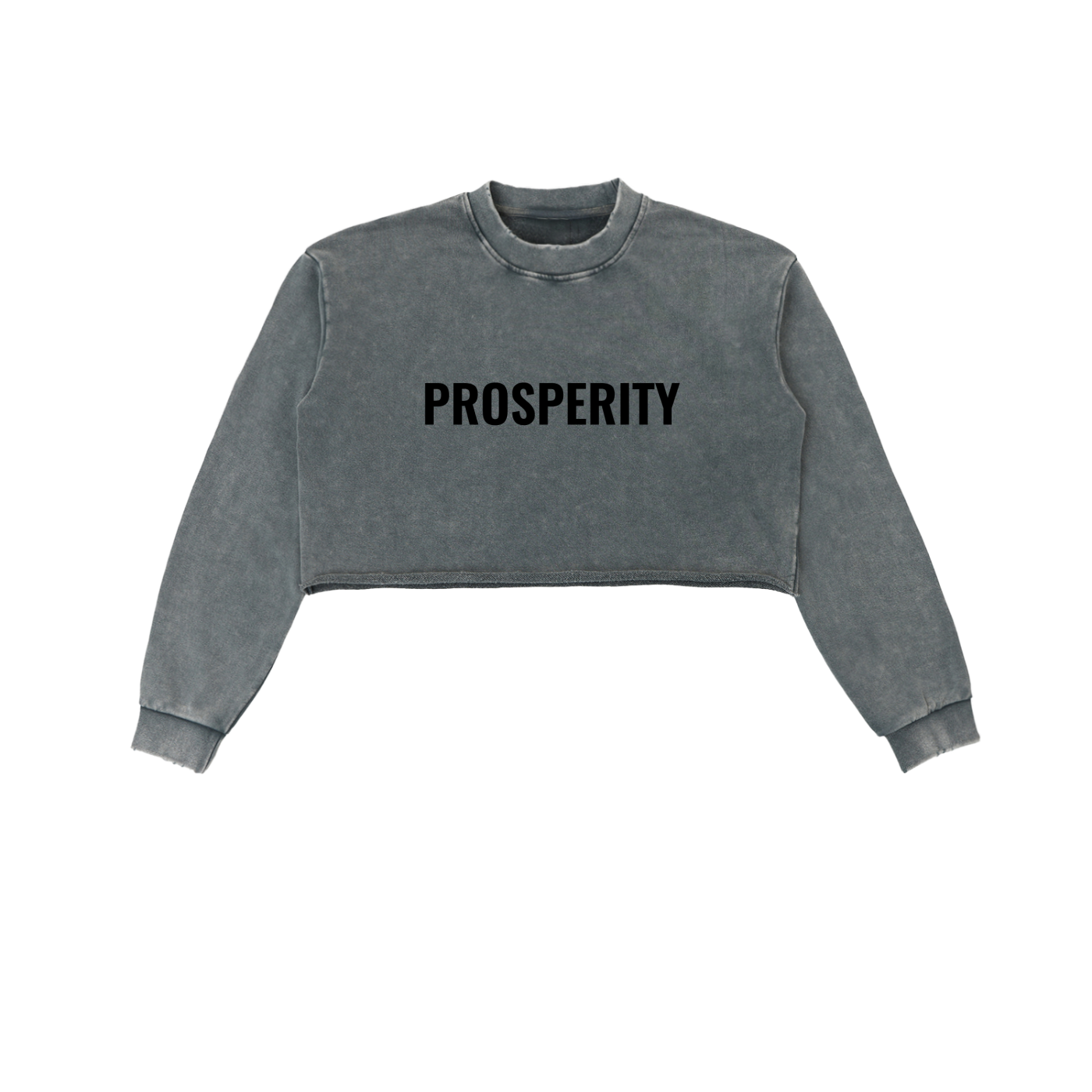 PROSPERITY Cropped Sweatshirt