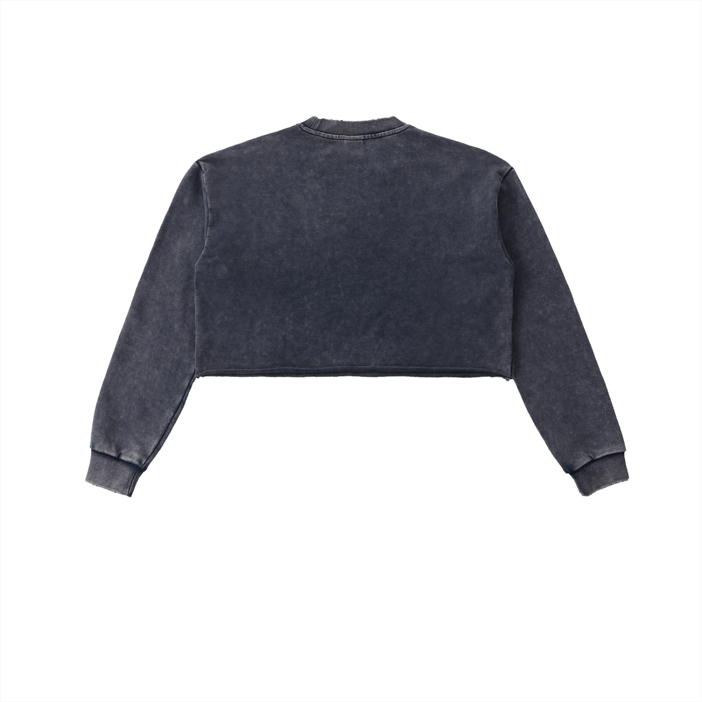 PROSPERITY Cropped Sweatshirt