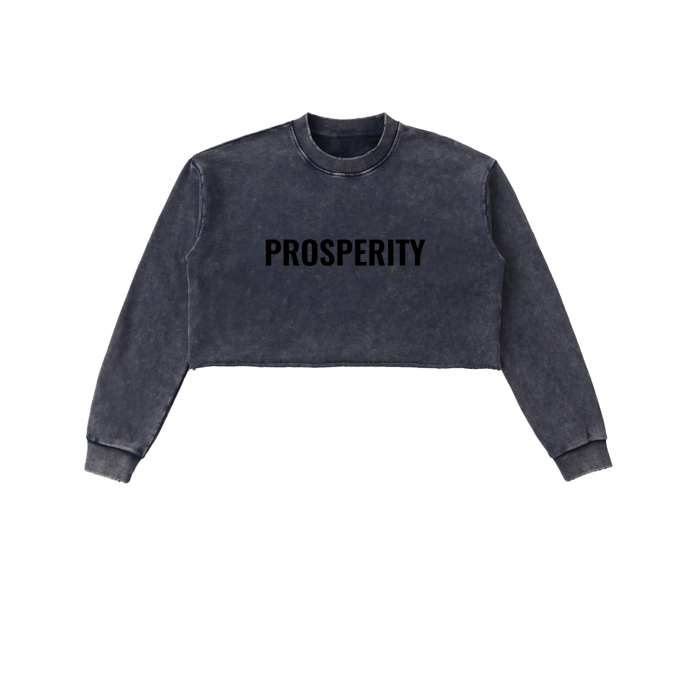 PROSPERITY Cropped Sweatshirt