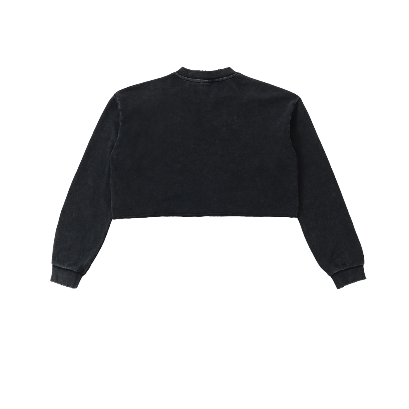 PROSPERITY Cropped Sweatshirt