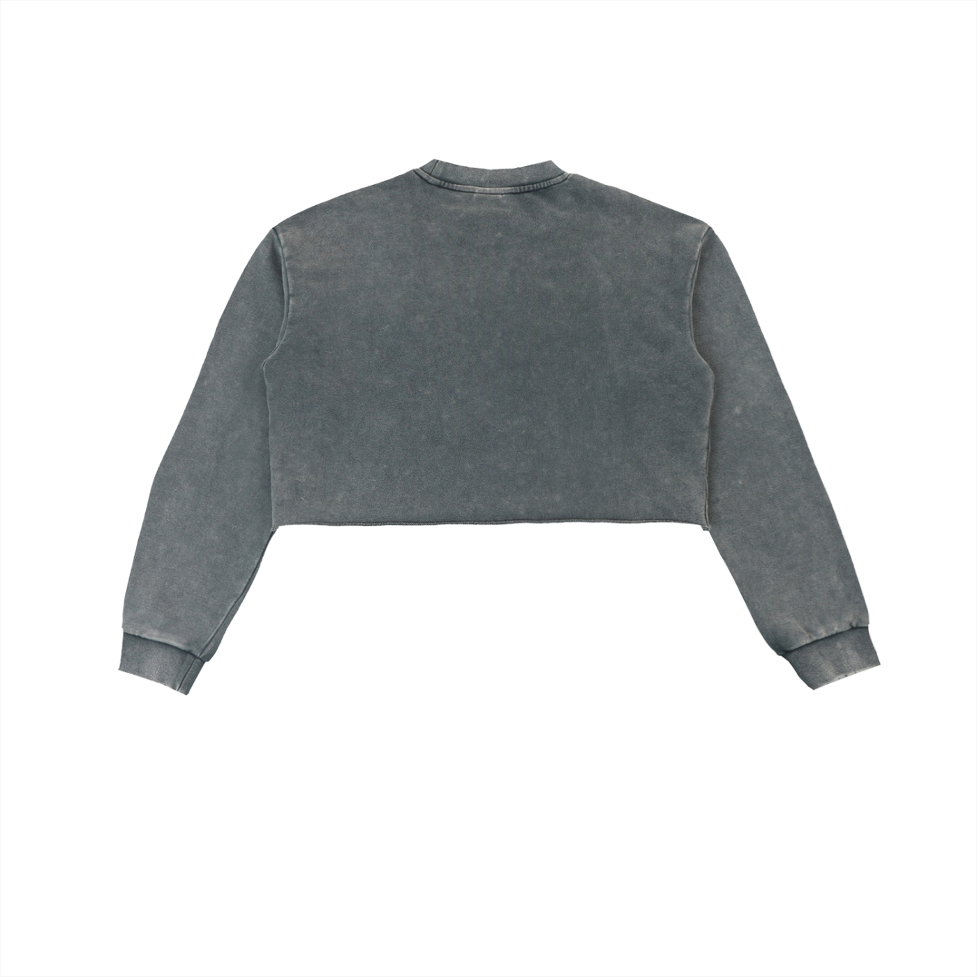 PROSPERITY Cropped Sweatshirt