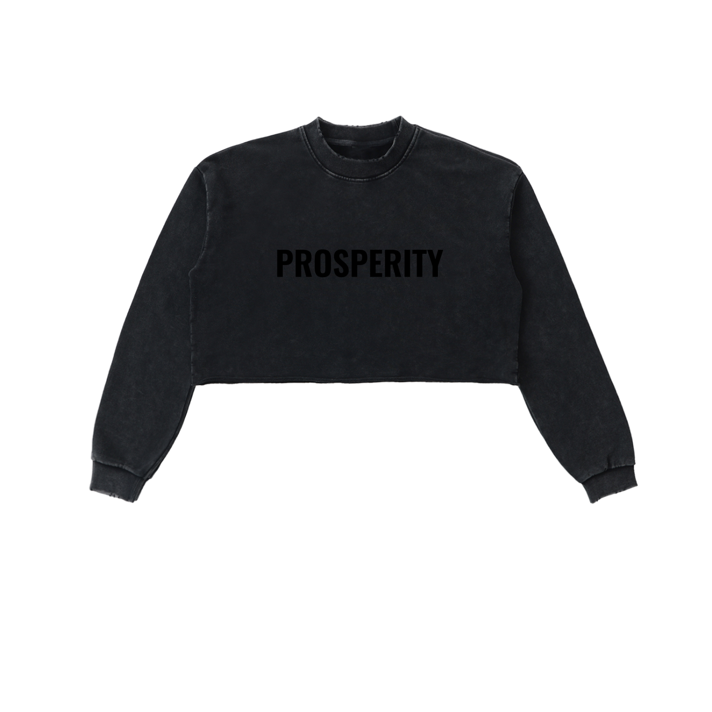 PROSPERITY Cropped Sweatshirt