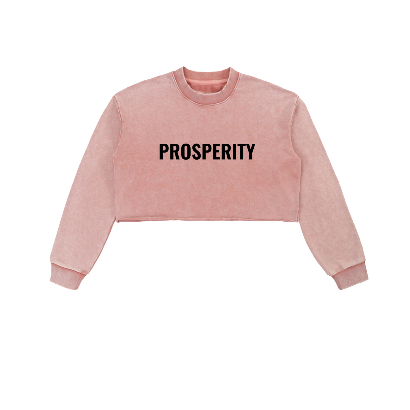 PROSPERITY Cropped Sweatshirt