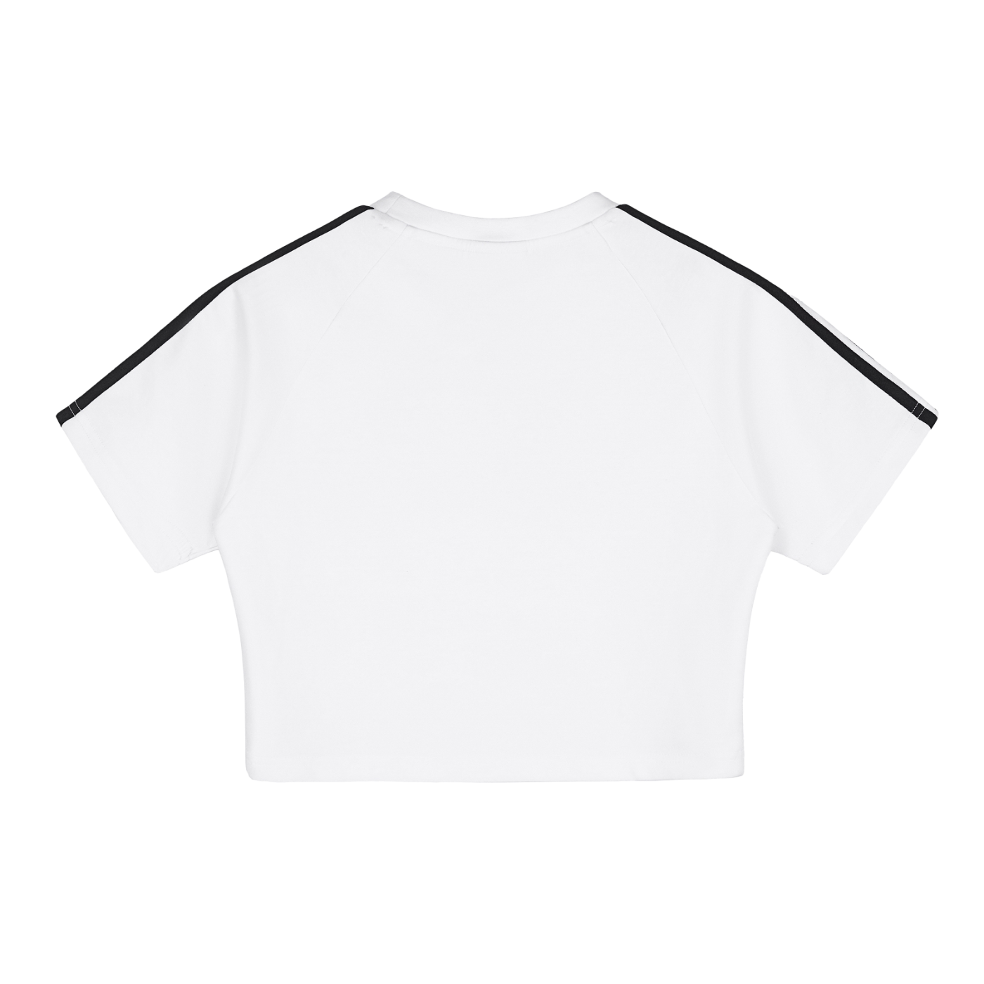 ELEVATION Cropped T-shirt